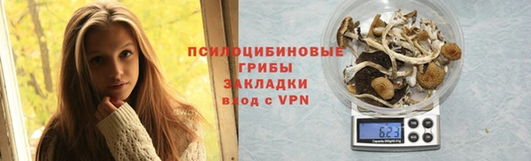 стаф Белокуриха