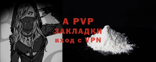 стаф Белокуриха
