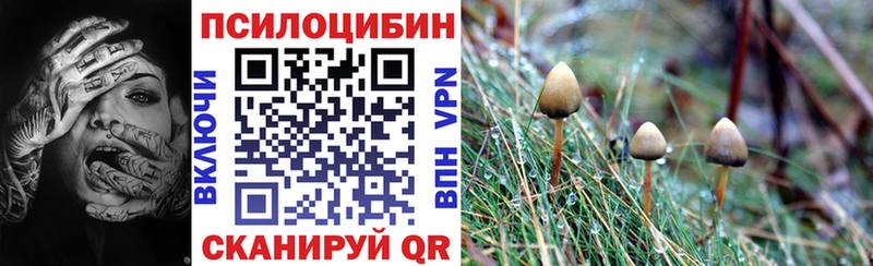 Псилоцибиновые грибы мухоморы  закладка  Киржач 